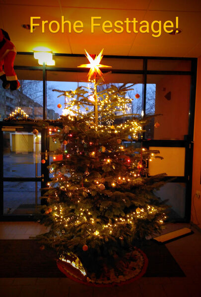 Weihnachtsbaum Reg 2